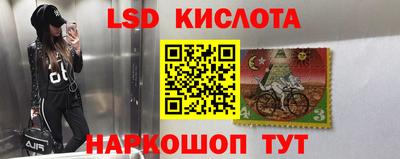 прущие грибы Донецк