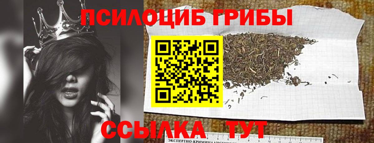 Псилоцибиновые грибы MAGIC MUSHROOMS Озёрск